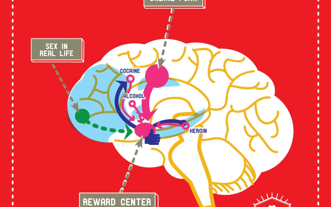 Addictive Behavior and the Brain’s Reward Circuit