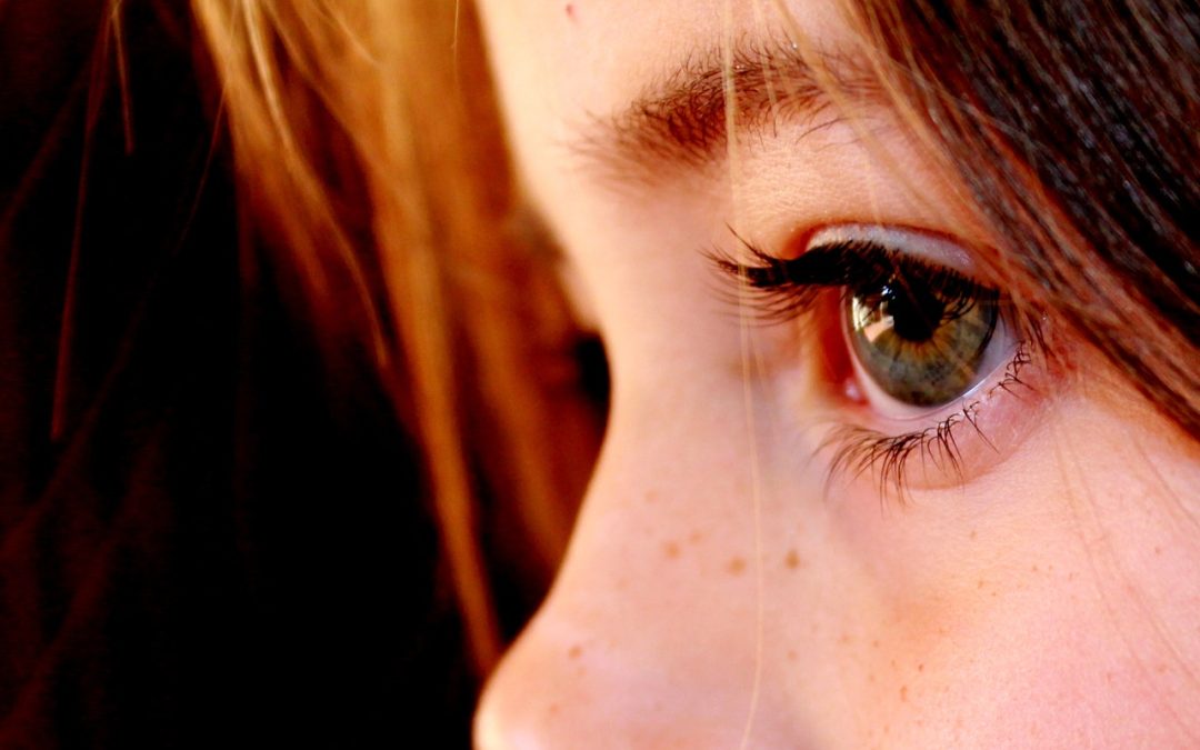 How To Raise A Bully